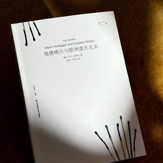 海德格尔与欧洲虚无主义 虚无主义批判译丛 卡尔·洛维特 六点图书 商品图4