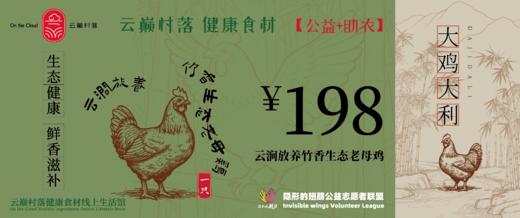 云巅村落-云涧放养竹香生态老母鸡（活鲜） 商品图5