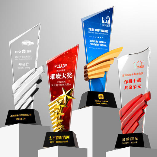 水晶奖杯定制创意翅膀造型企业颁奖奖牌表彰奖品琉璃树脂高档奖杯 商品图6