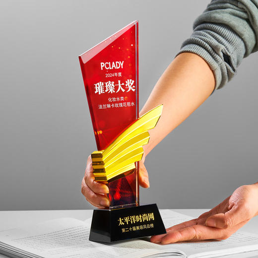 水晶奖杯定制创意翅膀造型企业颁奖奖牌表彰奖品琉璃树脂高档奖杯 商品图7