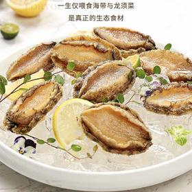 272184沣运去壳去肚鲍鱼肉实惠装Y