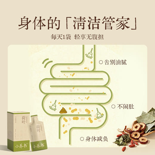 荷叶山楂清轻饮  胃肠道清道夫   远离油腻   轻盈无负担 商品图4