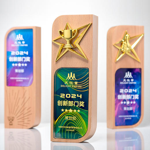 奖杯定制创意高档大气送优秀员工老师纪念品退休实木水晶奖牌 商品图8