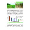 玉米密植高产精准调控技术（河北省玉米区） 商品缩略图2