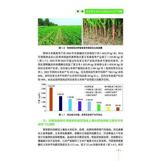 玉米密植高产精准调控技术（河北省玉米区） 商品图2