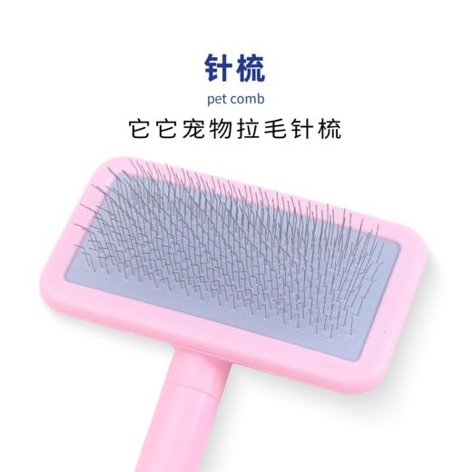TAA它它宠物专美容去浮毛开结精灵针梳 商品图0