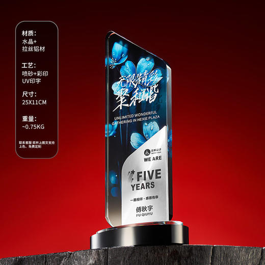 水晶奖杯定制刻字高档创意优秀员工金属闪亮加盟代理授权证书奖牌 商品图9