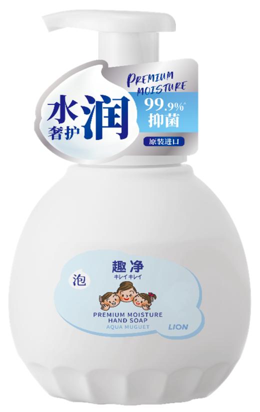 【临期品】E04017 趣净泡沫抑菌洗手液水雾铃兰450ml瓶装 商品图0