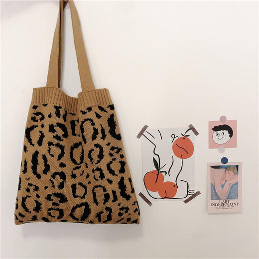 【针织复古单肩包】秋冬加厚款手提单肩包 时尚豹纹系列百搭出片学院风包包 商品图3