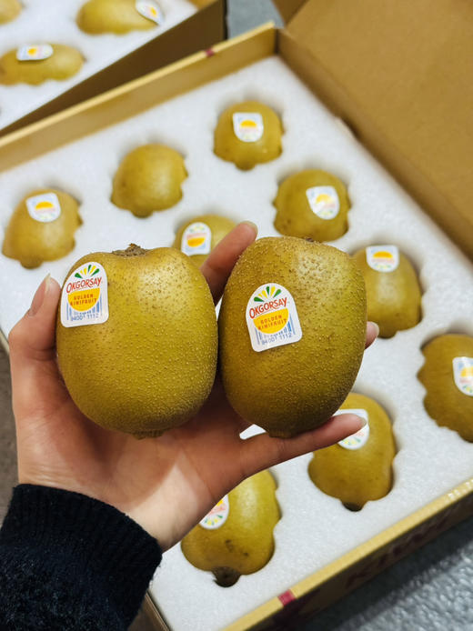 黄心金果猕猴桃礼盒装（12个装） 商品图0