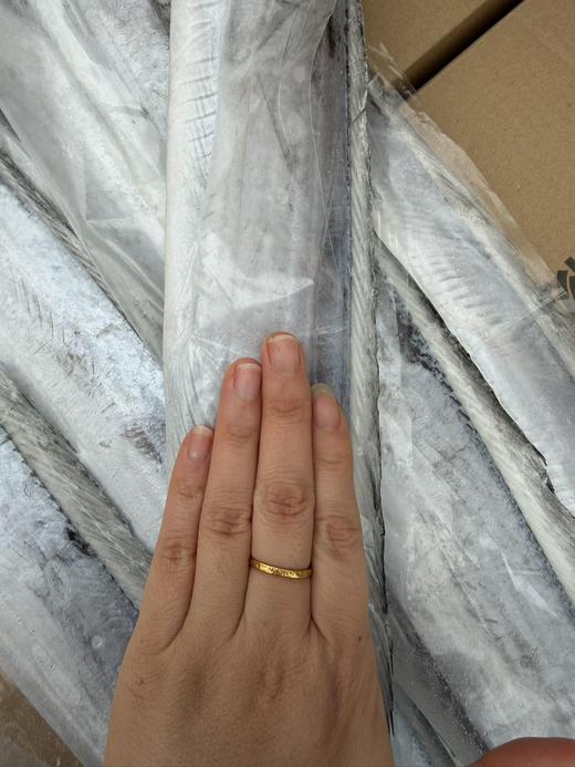 深海野生马鲛鱼/深海钓带鱼丨渤海湾，刺少肉多，细嫩洁白，糯软鲜爽，送礼佳品，切块可备注⭐️京东陆运 商品图8