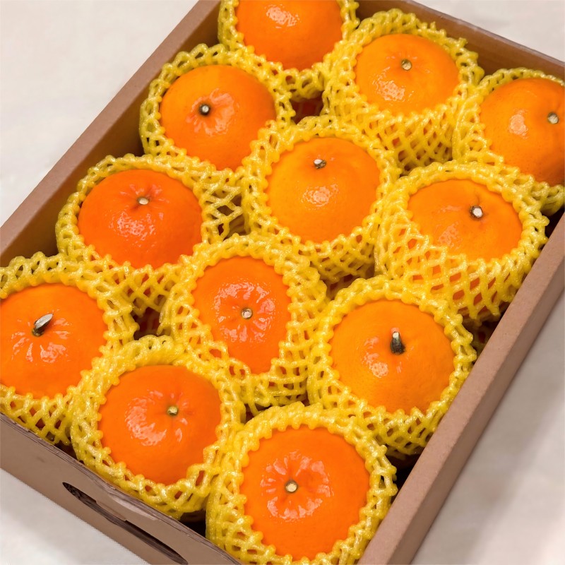 沃柑礼盒65果8斤装