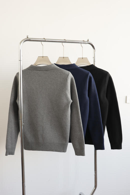 R.L 25年秋冬新款翻领V领针织毛衣 MY149 商品图6