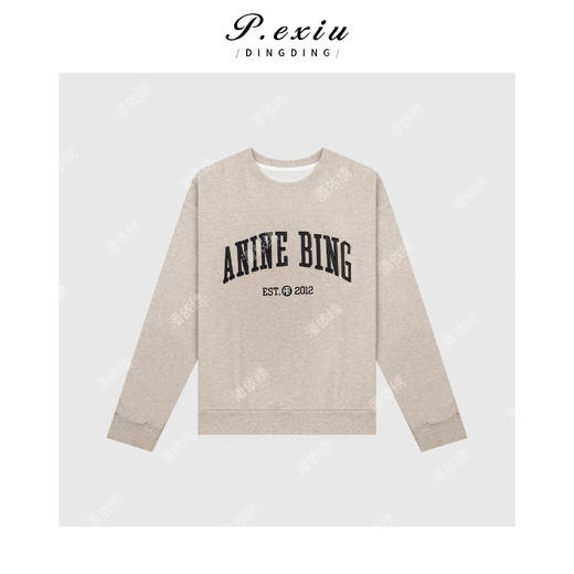 04-6潘依绣丁丁宠粉韩版百搭字母刺绣卫衣 Q56034 商品图0