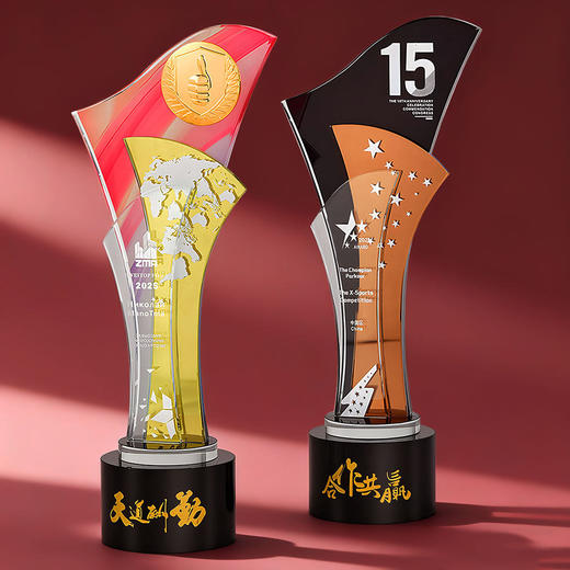 水晶奖杯金属勋章周年实木新款年会定制授权加盟优秀员工超大奖牌 商品图2