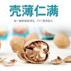 沧一手剥烤核桃500g 商品缩略图1