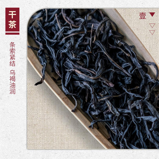 【山纯限品】2025年单丛系列032黑蚂蚁25g 商品图2