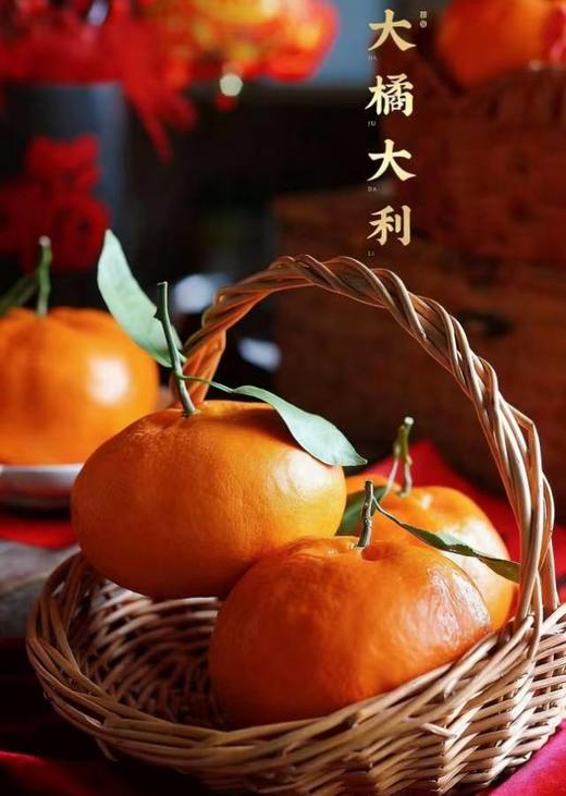 最贵柑橘就是它曾经100元一斤四川甘平 商品图4