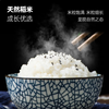 【HMY】牛氏双成东北珍珠米25kg 商品缩略图2