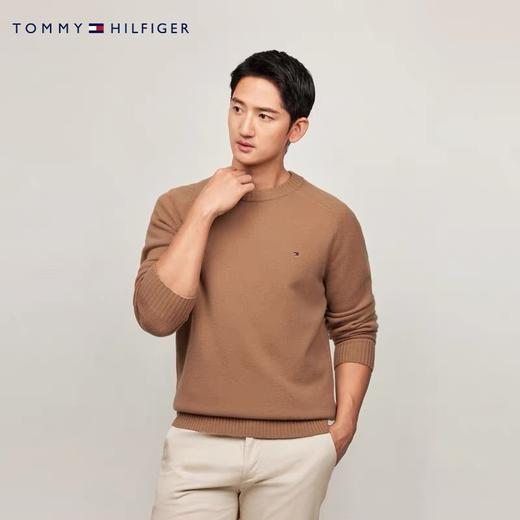 二店y 官网1500+ 经典款 TOMMY//汤米 男士圆领套头针织衫毛衣 商品图6