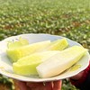 有机白玉水果萝卜 熟食似芋 生吃如梨 国家地标产品 商品缩略图2