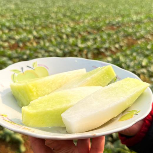 有机白玉水果萝卜 熟食似芋 生吃如梨 国家地标产品 商品图2