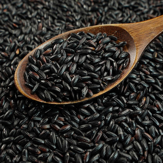 【新品】溢田有机黑米900g 商品图2