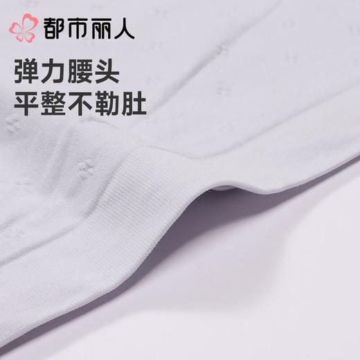 都市丽人内裤女士内裤锦氨内裤宽版包覆内裤LKC5F3 商品图7