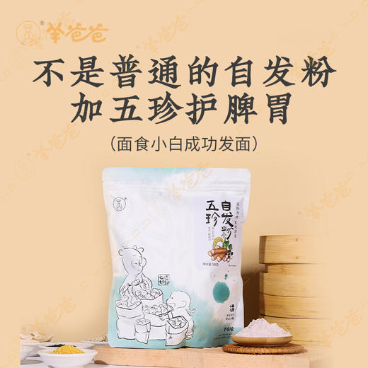 【五珍自发粉】自带酵母 温水自发 口感筋道 馒头包子蒸味即享 效期至26年9月 商品图2