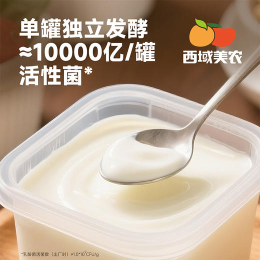 【内蒙，武功双仓发货】西域美农 内蒙古欧若姆酸奶奶皮子酸奶 专利菌酸奶  plus奶皮子酸奶1kg  每瓶添加≥200g鲜奶皮 商品图3