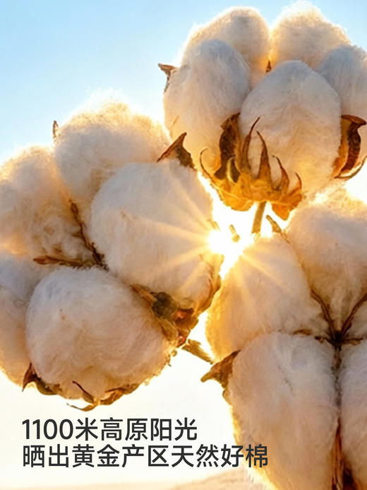 英氏童装儿童长裤春秋男童裤子休闲裤针织裤百搭新款YRKCJ1S004A 商品图1