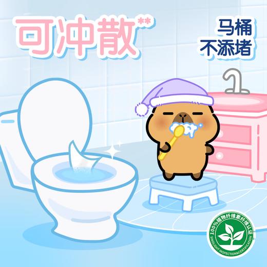 【清风X卡皮巴拉联名款】清风纯水湿厕纸 80片5包 商品图3