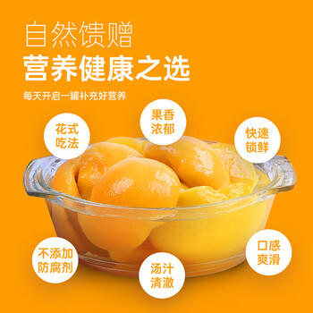 满意包糖水水果罐头12种口味组合装425克*12罐整箱礼盒送礼方便休闲零食 /休闲食品 /罐头食品 /水果罐头 商品图5