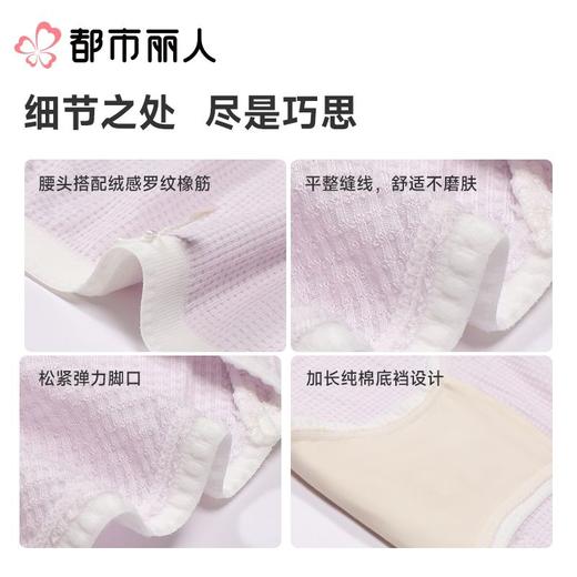 都市丽人内裤女士内裤人棉提花内裤宽版包覆内裤LKC5F1 商品图3