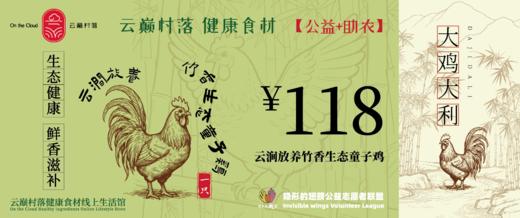 云巅村落-云涧放养竹香生态童子鸡（活鲜） 商品图5