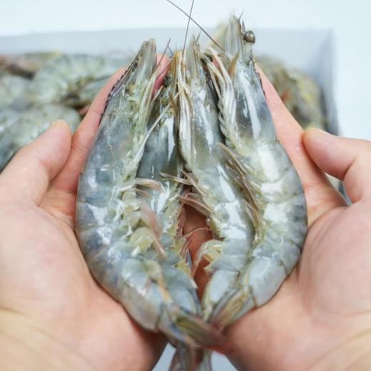 鮨味生活 南美白对虾500g*2 商品图2
