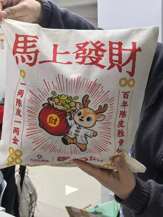 【内购】九州上医馆定制 小青柑留香枕 （含500g左右小青柑）送礼推荐 商品图2