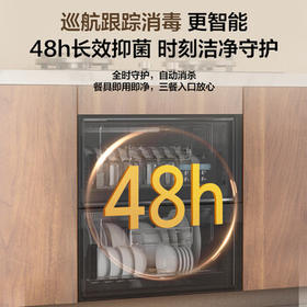 海尔（Haier）115L消毒柜家用嵌入式 大容量 双二星级 紫外线+光波巴氏消毒0臭氧 母婴消毒碗柜童锁保护12LCS