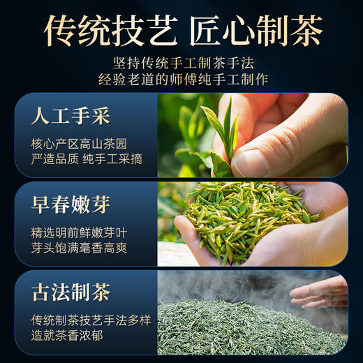 茶马世家 江山如画 特级信阳毛尖 年货节送礼200g 商品图4