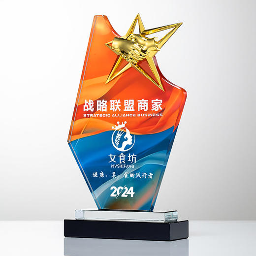 水晶奖杯定制做授权牌经销年会优秀员工刻字金属铝板高端立体奖牌 商品图5