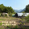昌西公社土鸡蛋浙江示范基地每月抽检30只/箱 商品缩略图5