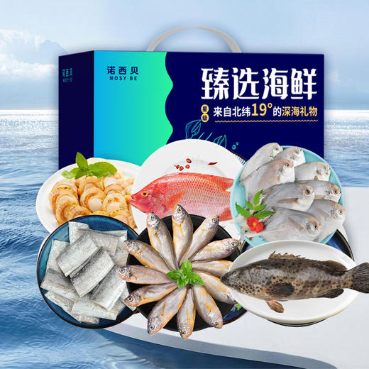 诺西贝海鲜-398型 商品图0