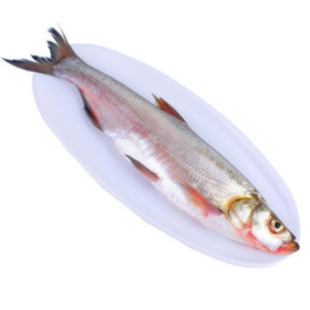 京鱼跃  水库大白鱼600g*3（半片淡腌）