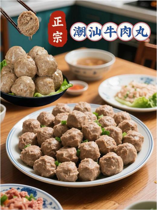 VY供源堂潮汕手打牛肉丸 商品图0