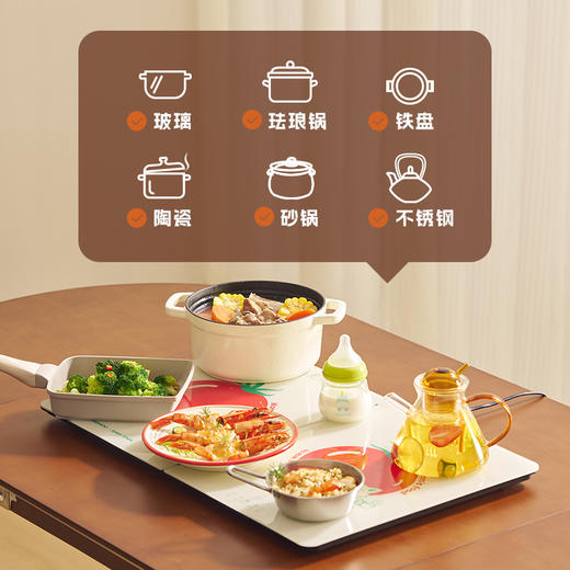 DAEWOO 大宇暖菜板WB09 PRO 商品图3