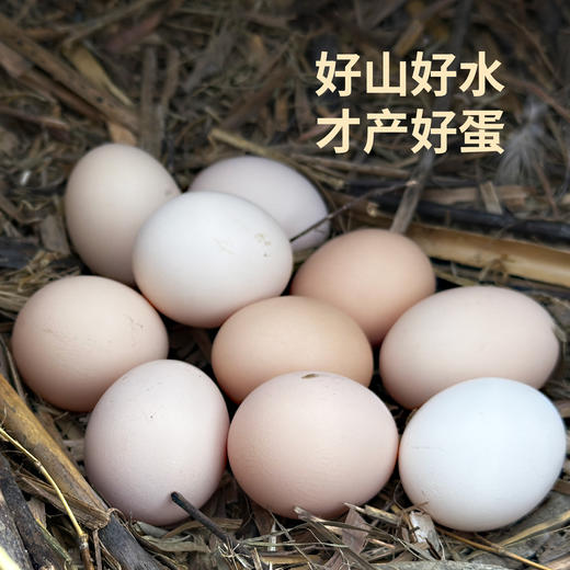 昌西公社土鸡蛋浙江示范基地每月抽检30只/箱 商品图3
