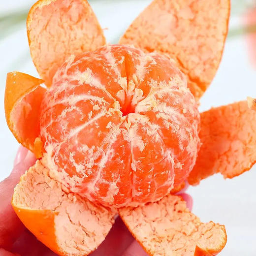 【年货送礼佳选❗️正宗涌泉蜜桔礼盒】徒手轻捏就能榨出汁，营养丰富！产地直发高山蜜橘，新鲜当季水果2026马年春节新年货礼物L 商品图2