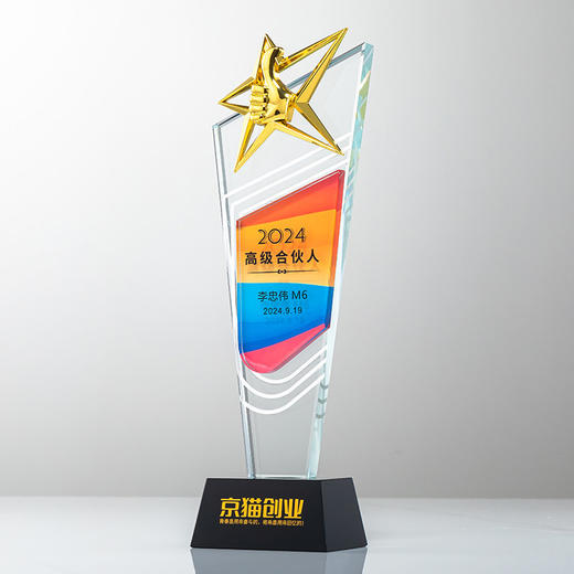 奖杯定制做授权牌经销年会优秀员工刻字金属铝板高端水晶立体奖牌 商品图6