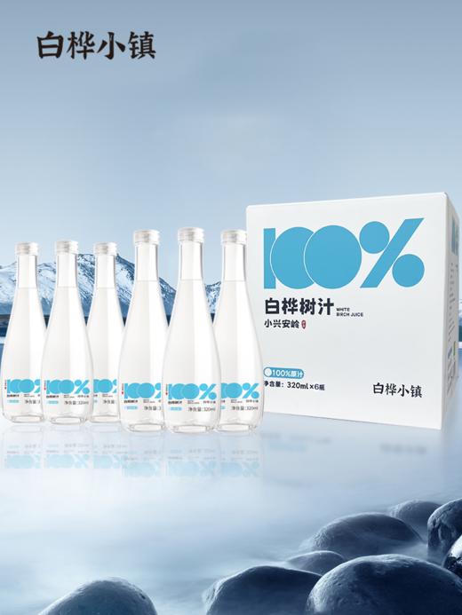 白桦小镇白桦树汁|天然植物饮料，营养价值高，有液体黄金之美称【清明期间正常发货】 商品图1