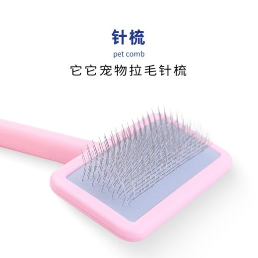 TAA它它宠物专美容去浮毛开结精灵针梳 商品图1